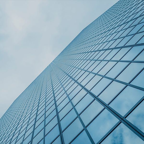 Company Overview